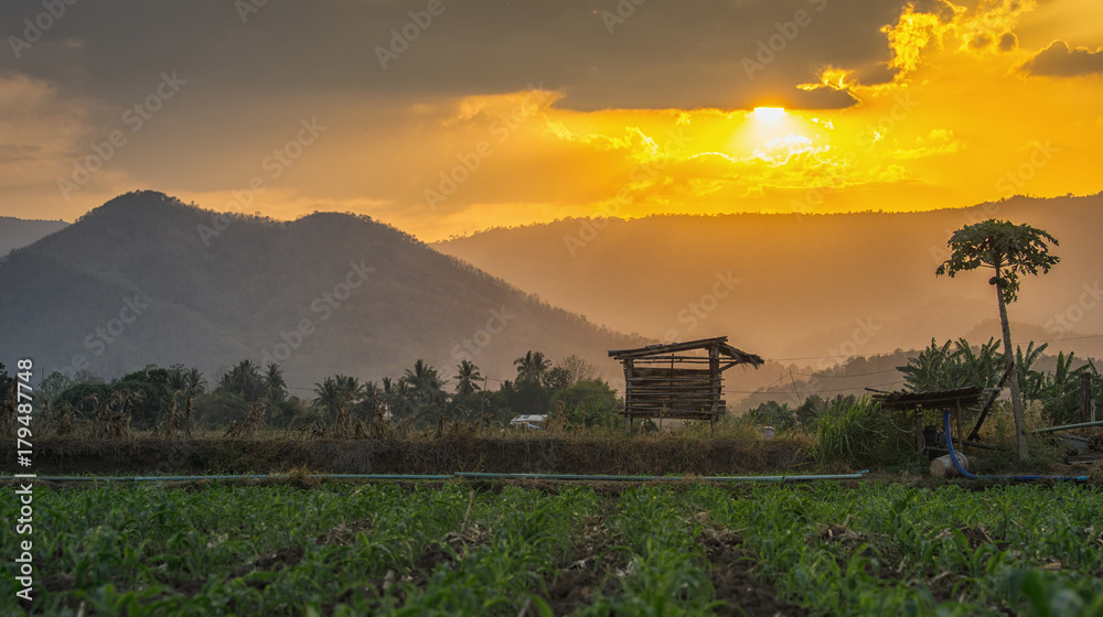 泰国乡村农业花园上的农民小屋，阳光照耀日落