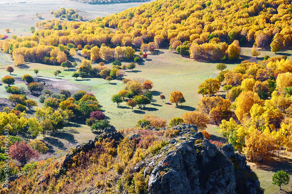 autumn landscapes of Bashang plateau/ autumn landscapes of meadows steppe