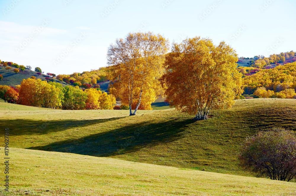 坝上高原秋季景观/草甸草原秋季景观