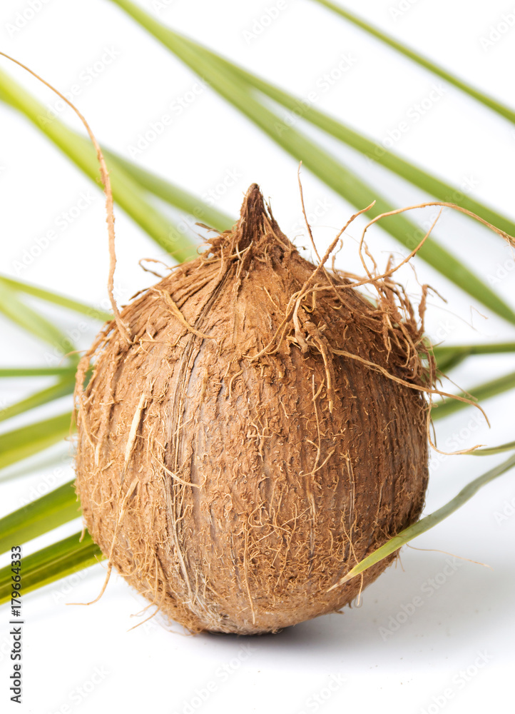 Whole coconuts and leaves on white