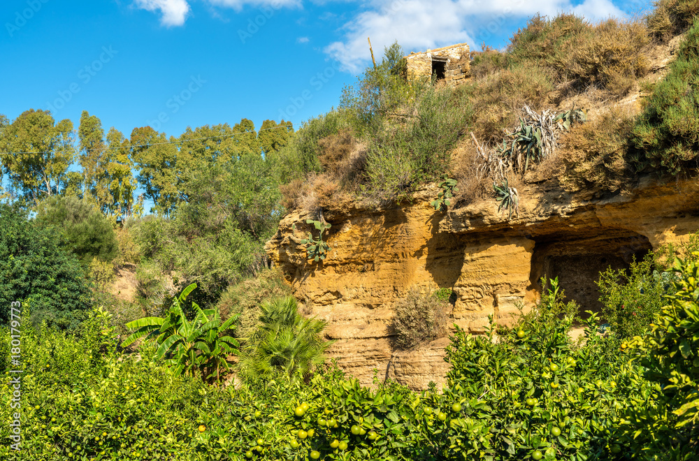 The Kolymbetra Garden at the Valley of the Temples - Agrigento, Sicily, Italy