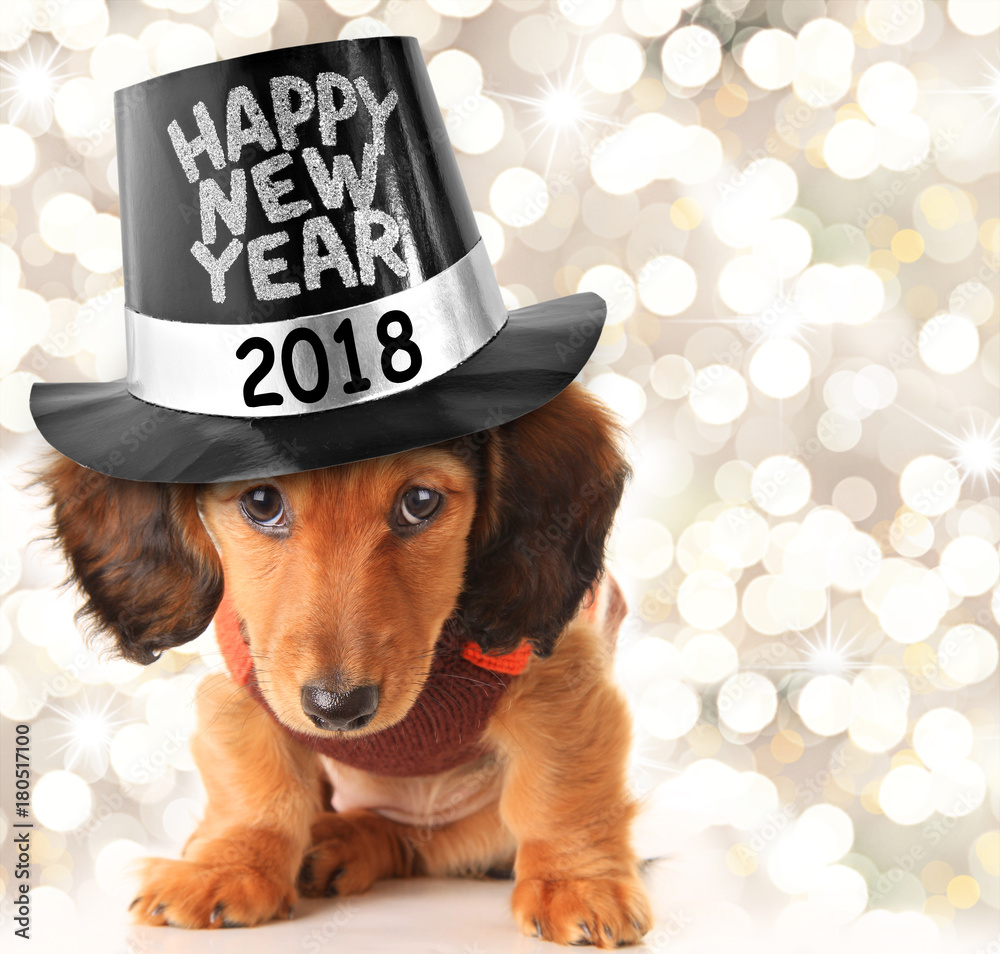 Happy New Year 2018 puppy