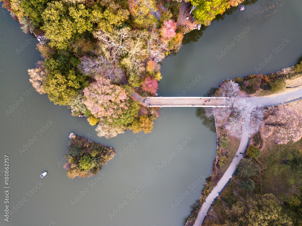 Aerial view of Central park lake in autumn