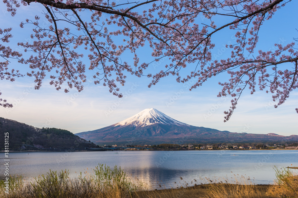 春天的富士山