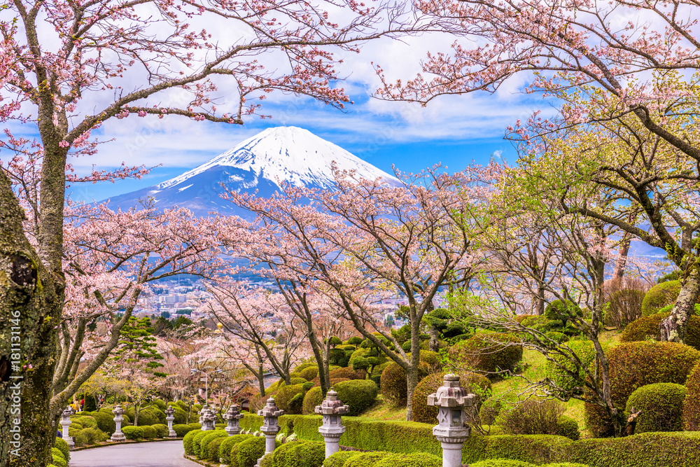 春天的富士山