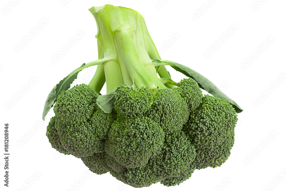 Broccoli cabbage on white