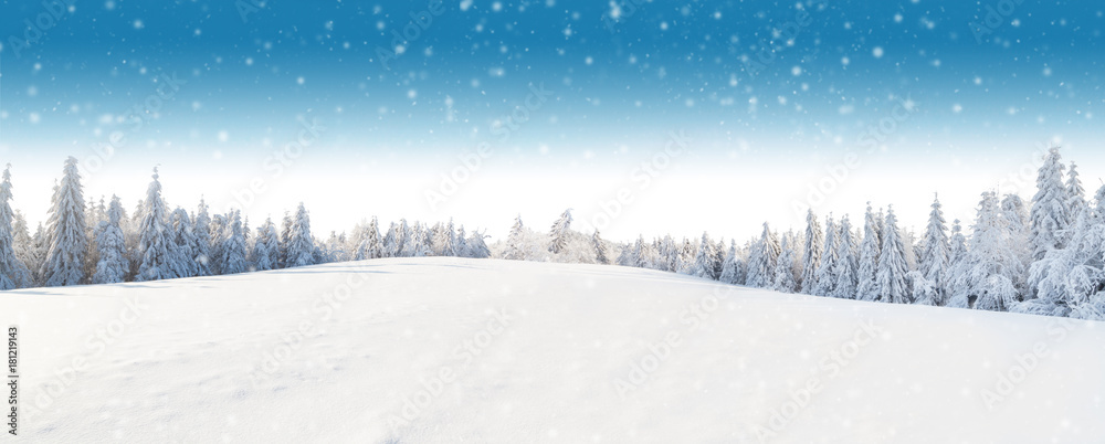 Winter panoramic landscape with forest on background