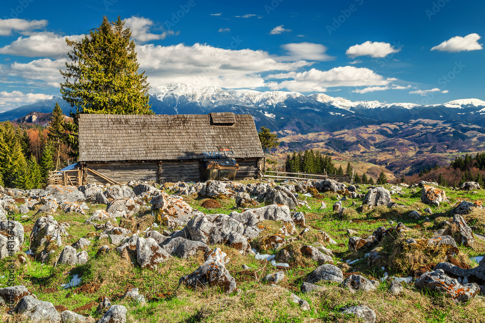 Wonderful spring rural landscape with snowy mountains in background, Romania