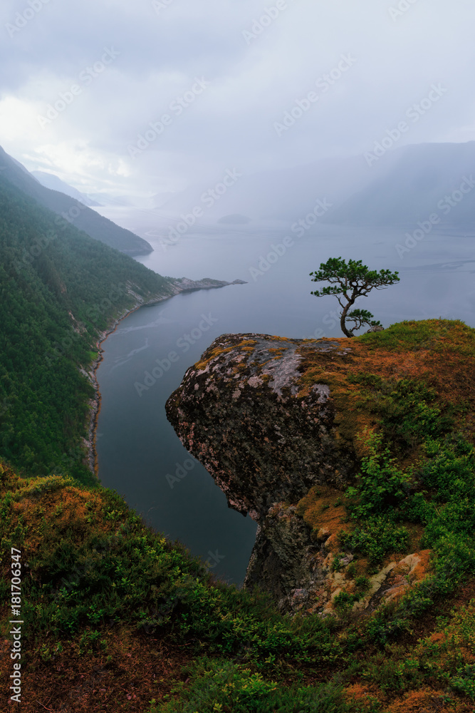 Tingwolfjorden花朵上的薄雾早晨