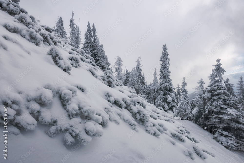 Fantastic winter landscape