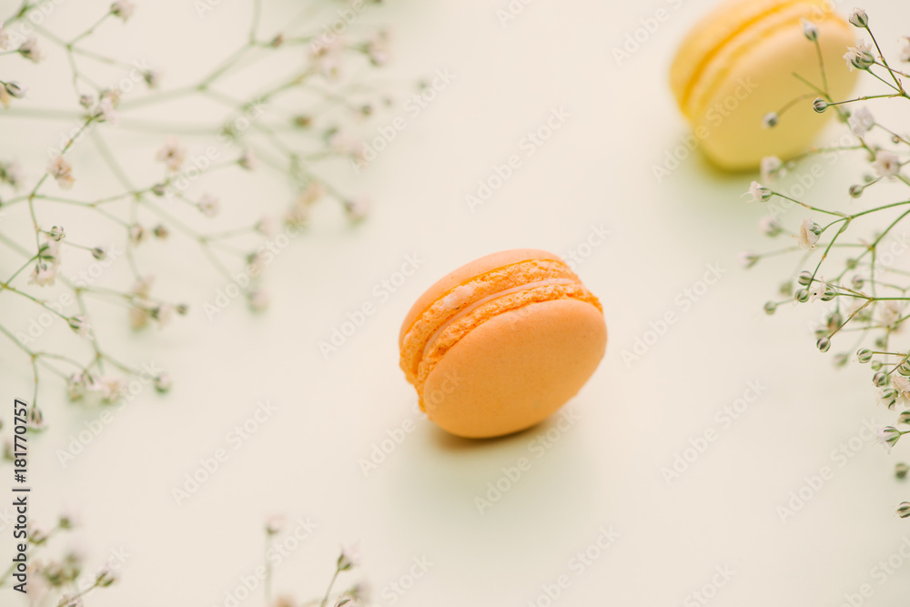 Morning cake macaron and flower gypsophila on light green background from above. Cozy breakfast. Fla