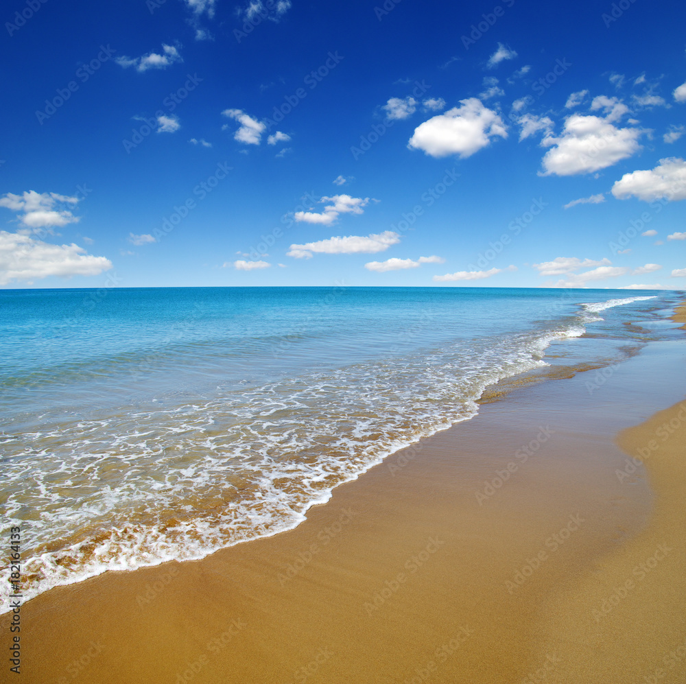 beach and sea