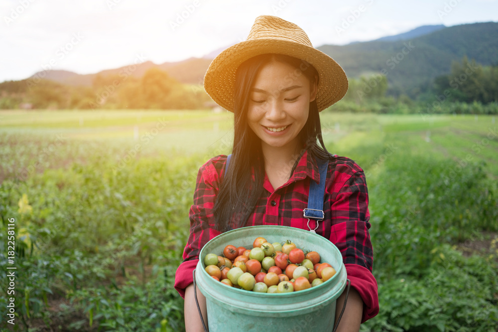 Smiling farmer in the tomato field