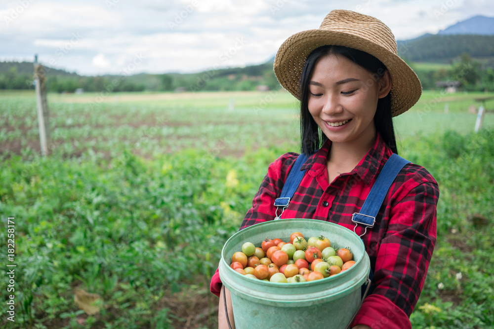 Smiling farmer in the tomato field