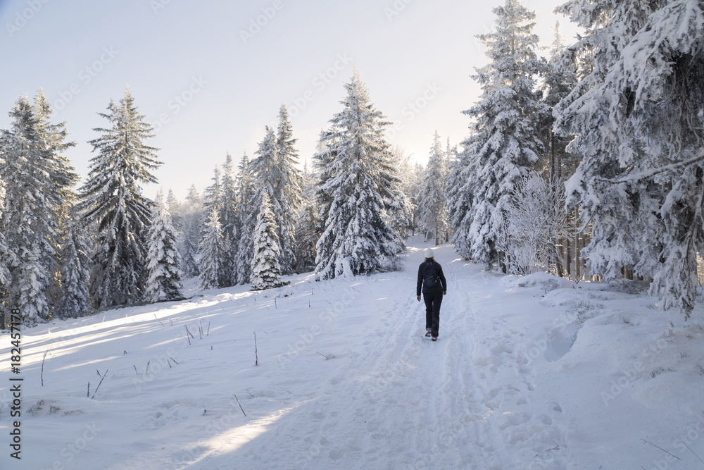 冬日阳光明媚，女人在雪地里散步。