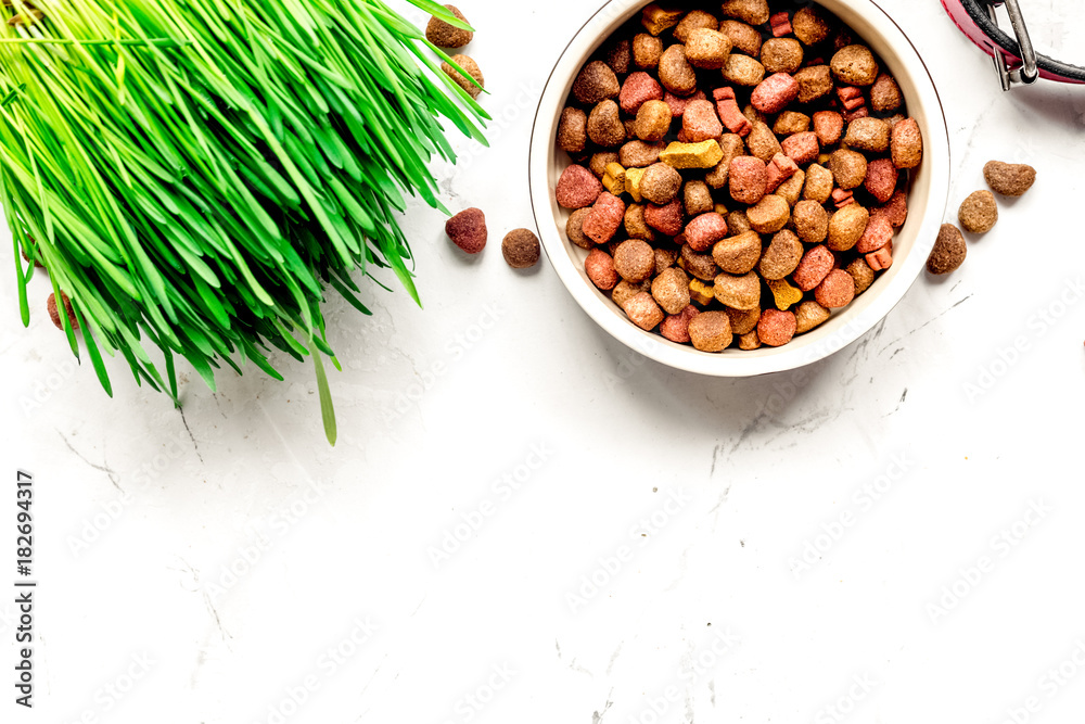 dry dog food in bowl on stone background top view