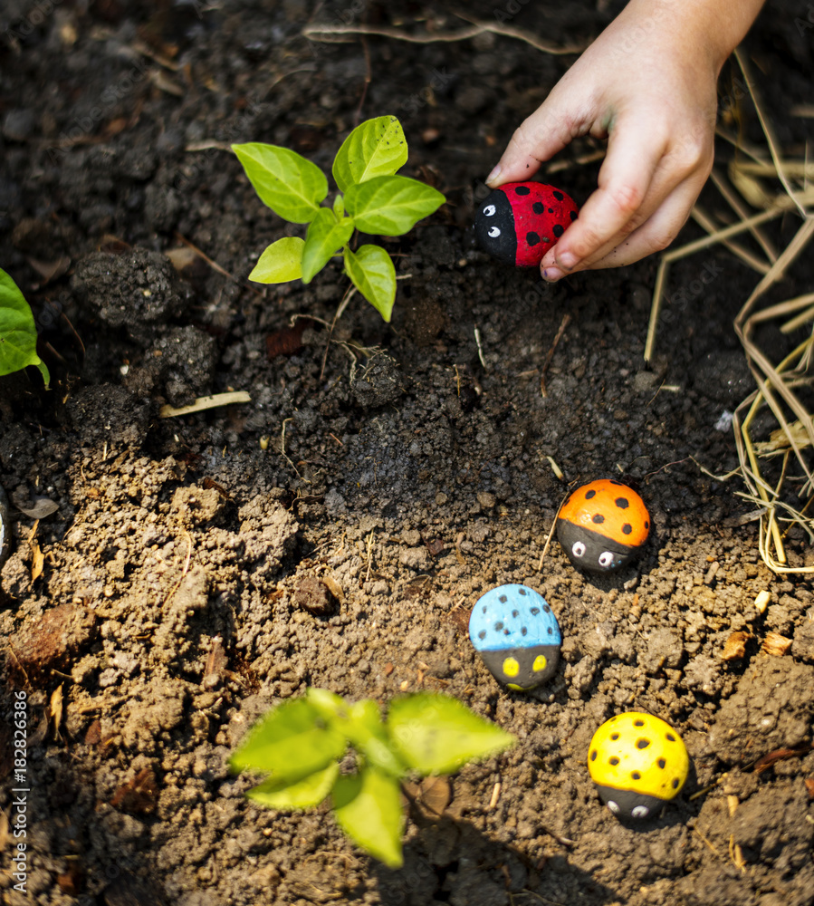 Ladybug in a garden