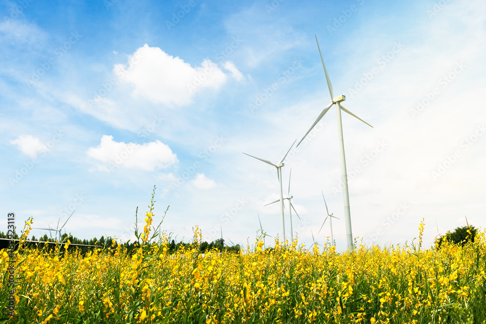 Eco power, Wind Turbine on a Wind Farm.