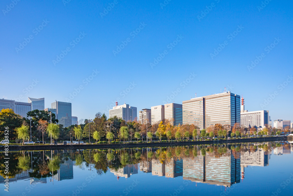 都会を彩る紅葉の木々