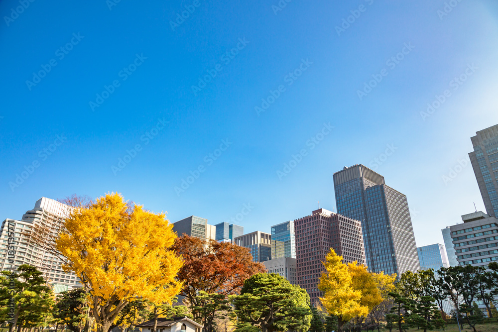 都会を彩る紅葉の木々