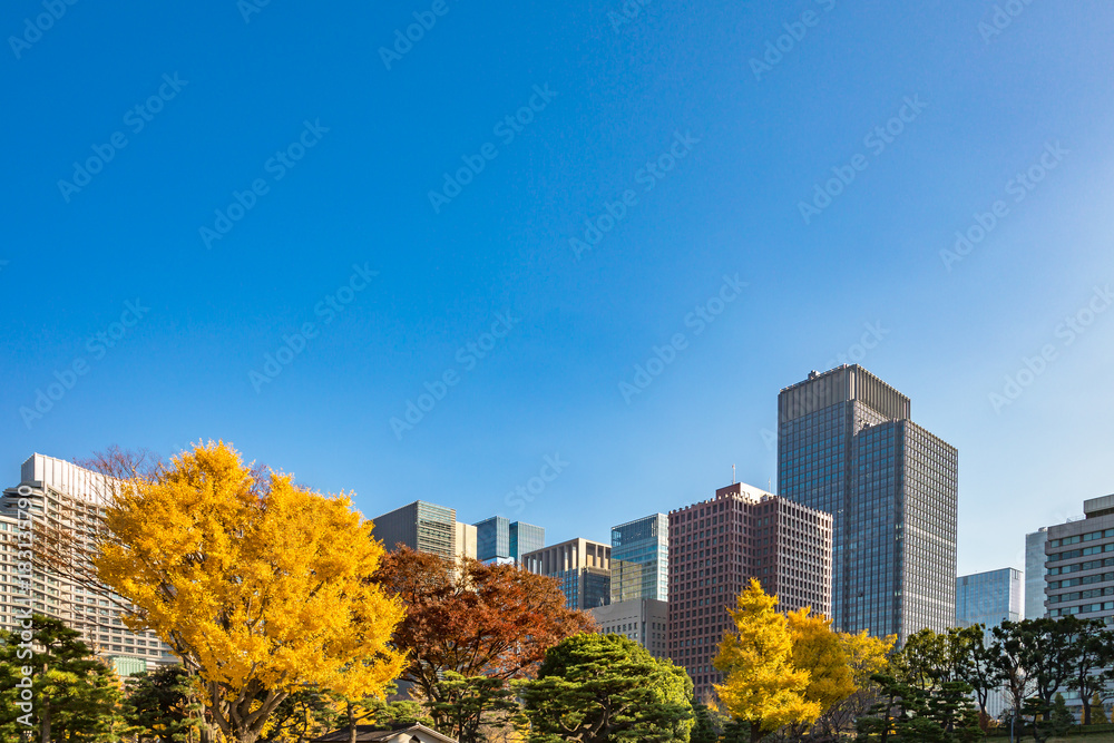 都会を彩る紅葉の木々