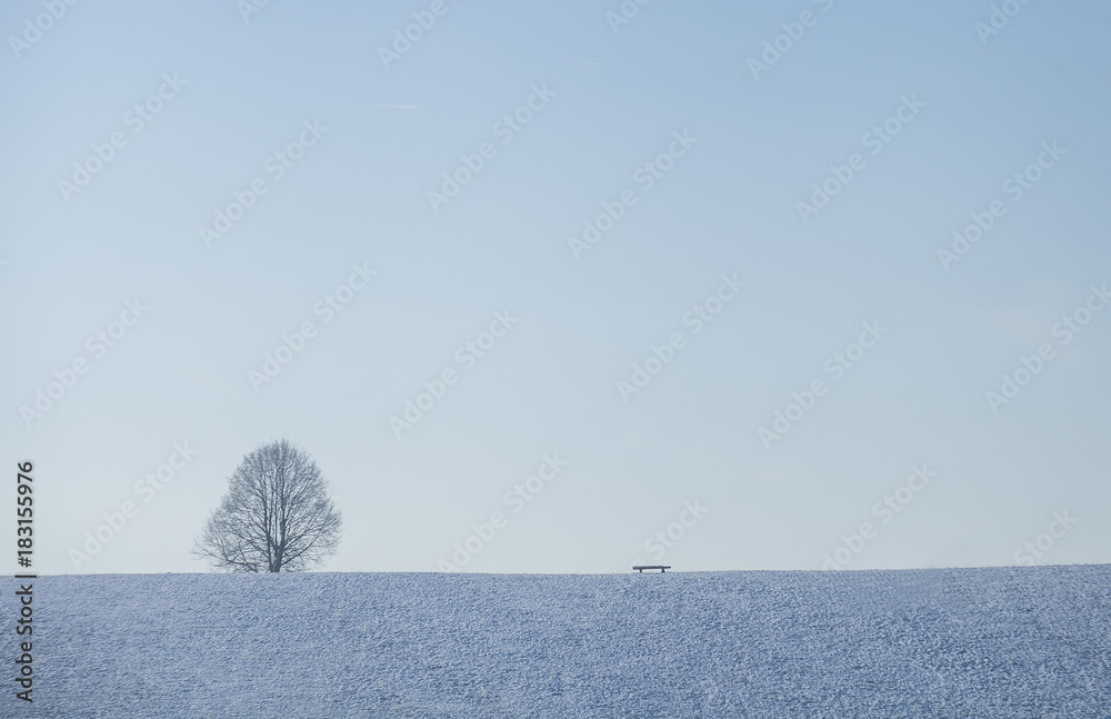 极简风格的冬季场景，一棵孤独的无叶树、长椅和万里无云的天空。