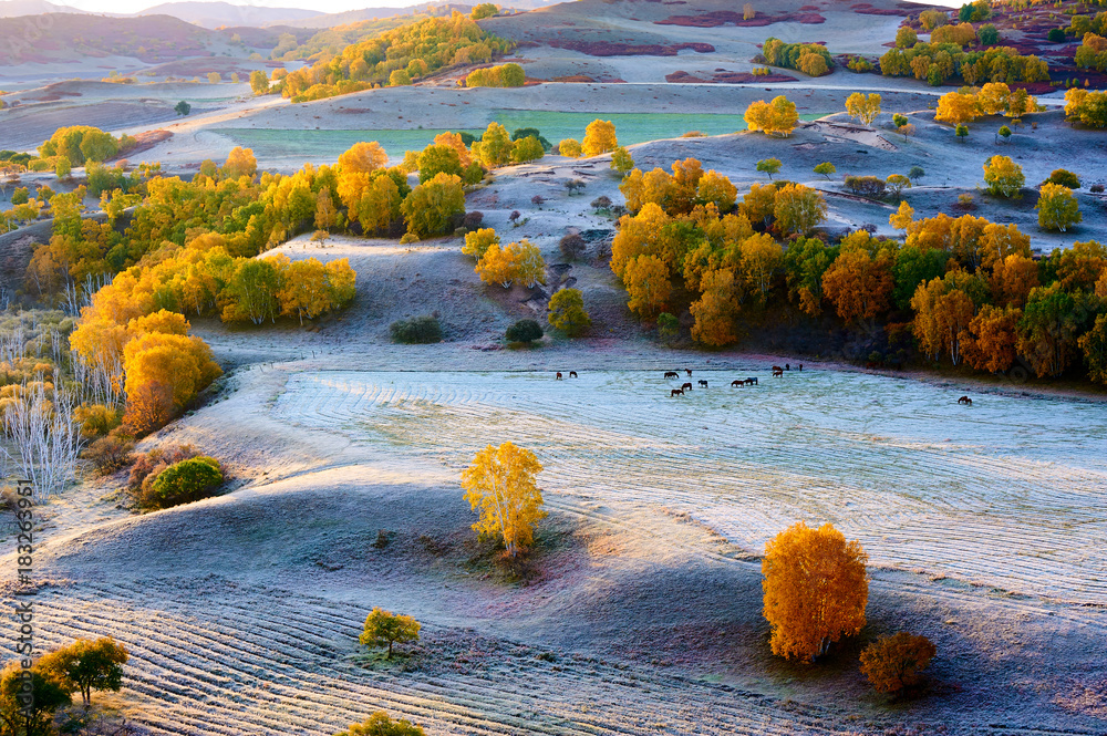 The autumn steppe sunrise landscape.