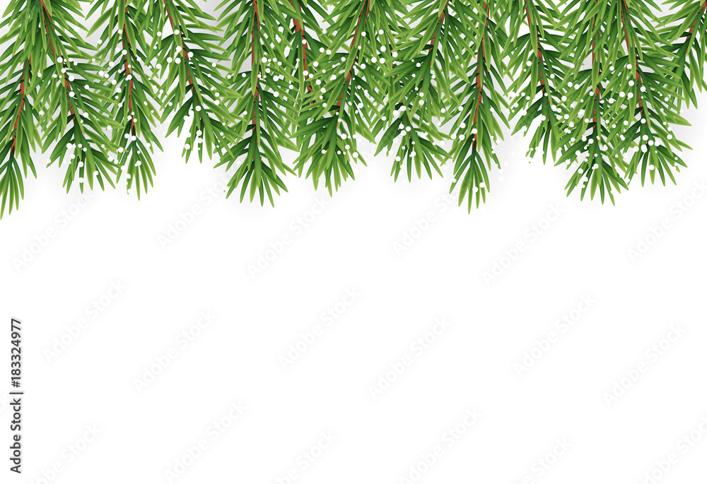 Fir Branches with Snow. Merry Christmas and New Year Winter Background. Vector Illustration