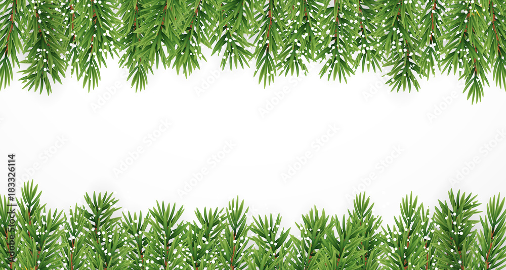 Fir Branches with Snow. Merry Christmas and New Year Winter Background. Vector Illustration