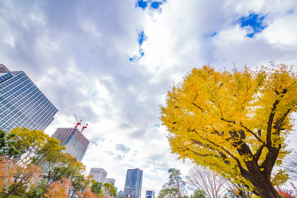 都会のビル群と紅葉の木々