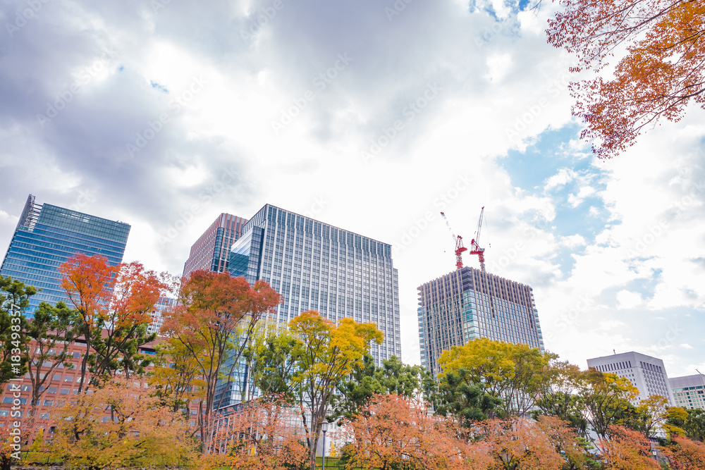 都会のビル群と紅葉の木々