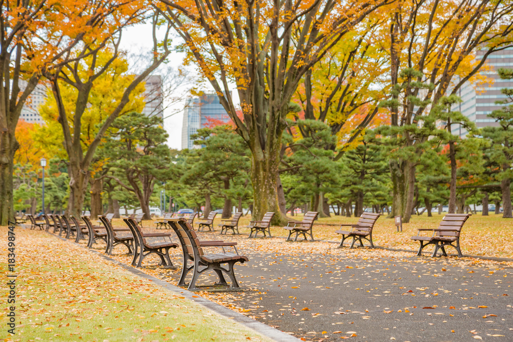 秋の公園のベンチ