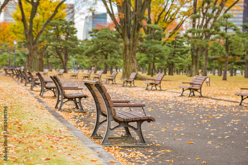 秋の公園のベンチ