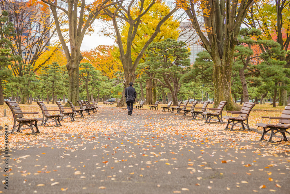 秋の公園のベンチ