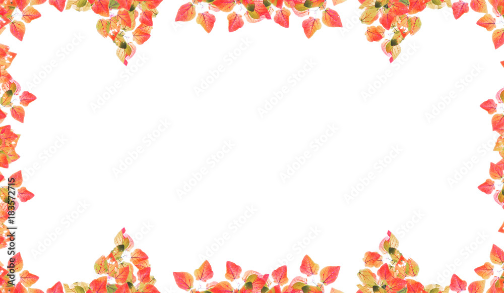 Isolated autumn leaves frame for nature background and design.