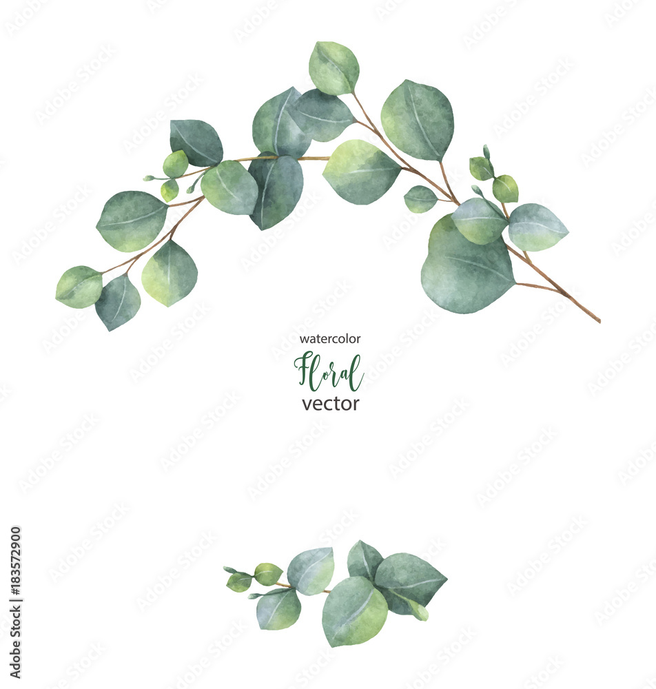 Watercolor vector wreath with green eucalyptus leaves and branches.