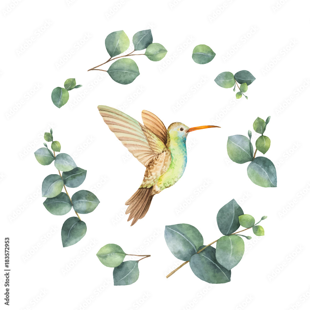 Watercolor vector wreath with green eucalyptus leaves and Hummingbird.