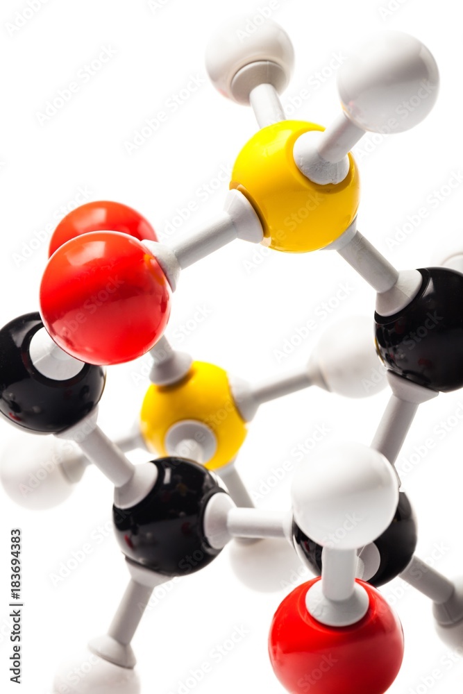 Molecular Model