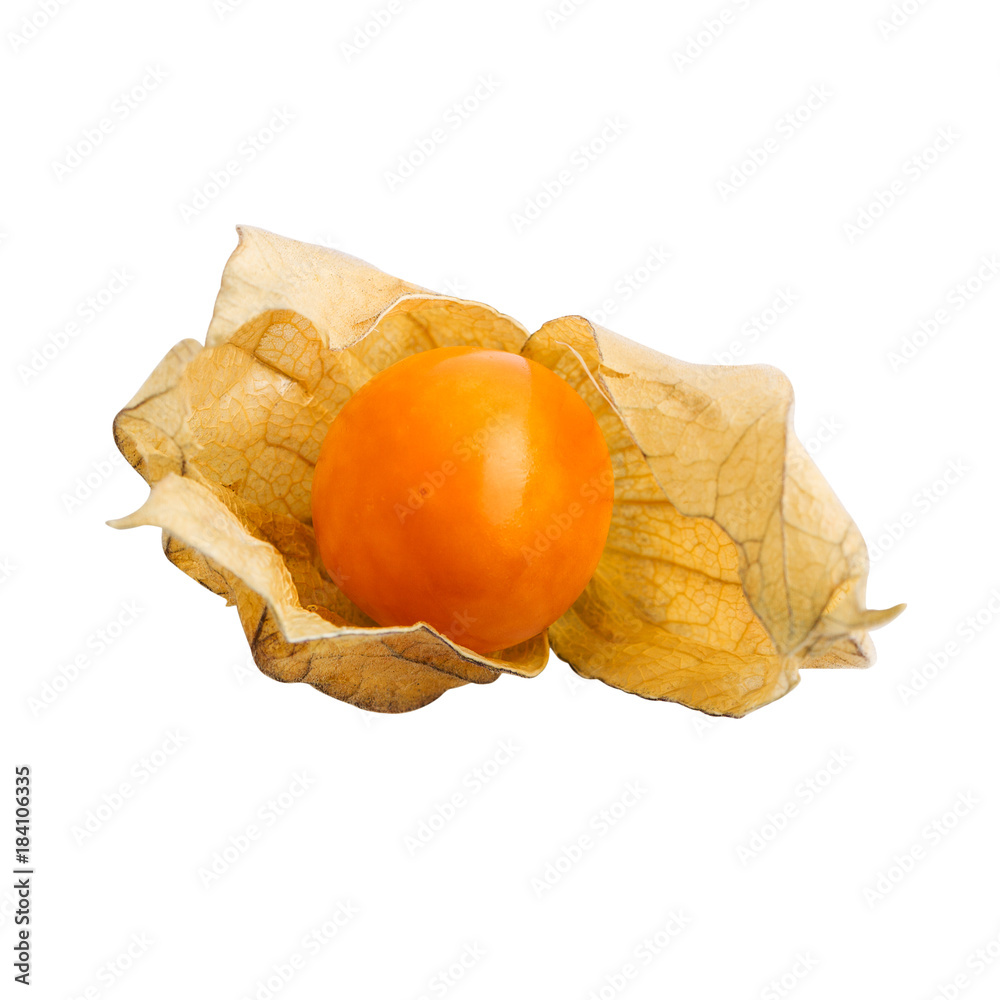 Physalis or cape gooseberry fruit isolated on white with clipping path