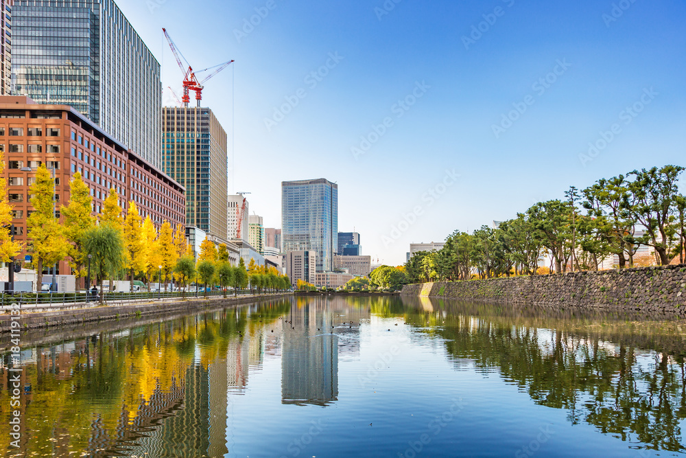 都会を彩る紅葉の木々