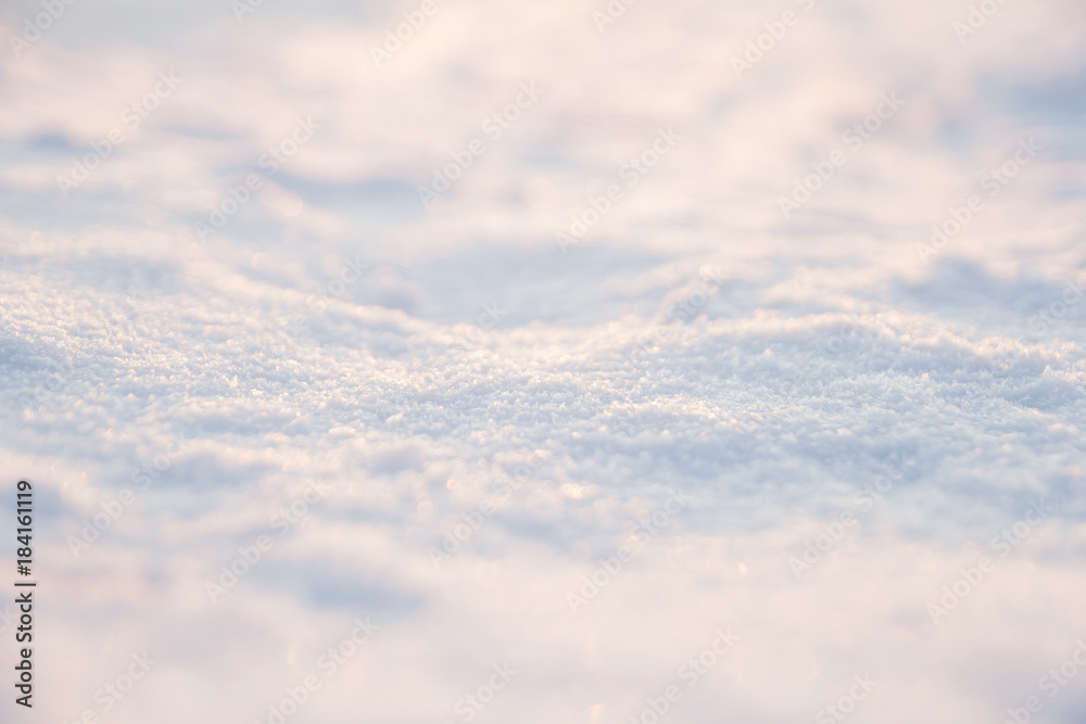 frost in the street. frozen trees. covered with hoarfrost. bright weather. all around the snow. wint