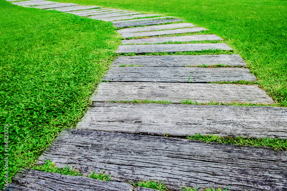 Path through the lawn.