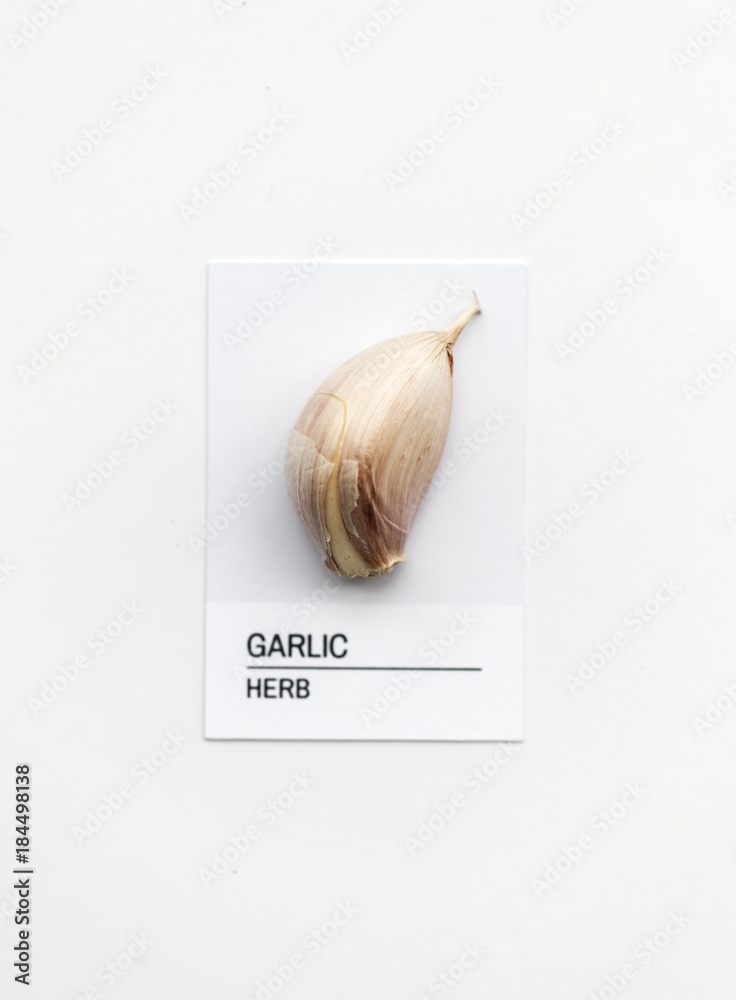 Garlic herb