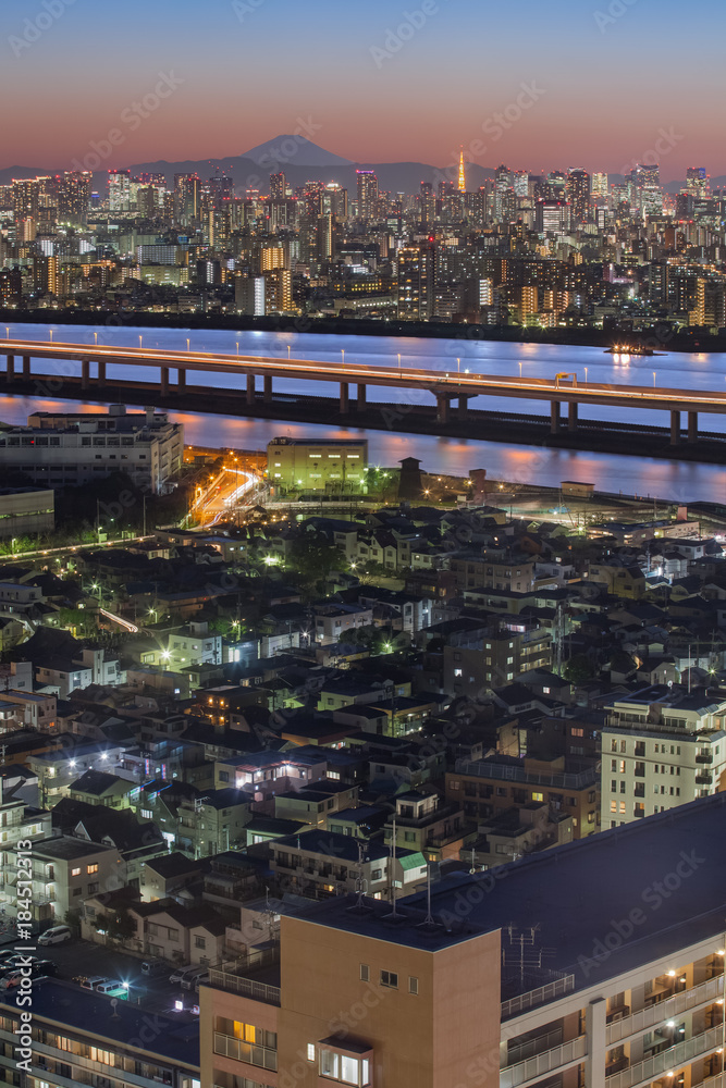 Tokyo city view with Mount Fuji and Tokyo tower landmark