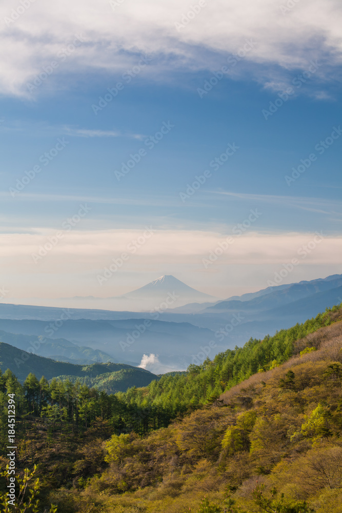 春天的富士山晨雾蒙蒙