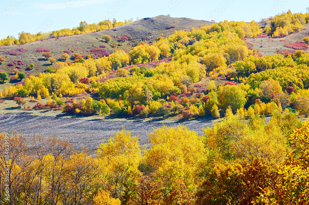 The autumn steppe landscape.