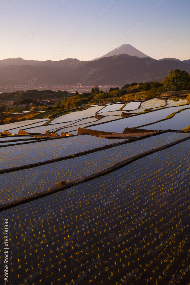 Japan rice terrace and Mountain Fuji in morning at Minami alps Nakano , Kofu city , Yamanashi prefec