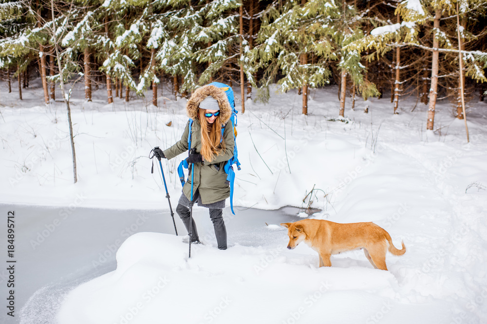 穿着冬装的女人带着她的狗背着背包和追踪棒在雪地森林徒步旅行