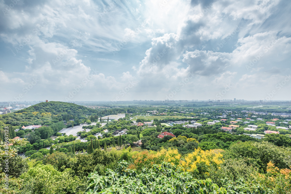 中国上海市郊的住宅楼和绿色森林，鸟瞰图