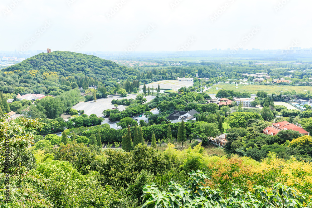 中国上海市郊的住宅楼和绿色森林，鸟瞰图